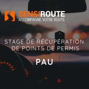 Pau, vendredi 27 et samedi 28 MARS 2026, stage de récupération de points de permis de conduire