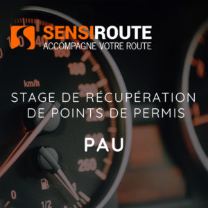 PAU, vendredi 25 et samedi 26 SEPTEMBRE 2026, stage de récupération de points de permis de conduire