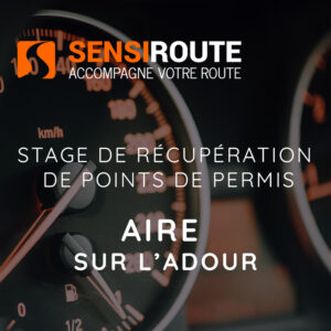 Aire sur l'Adour, Vendredi 20 et Samedi 21 novembre 2026, stage de récupération de points de permis de conduire